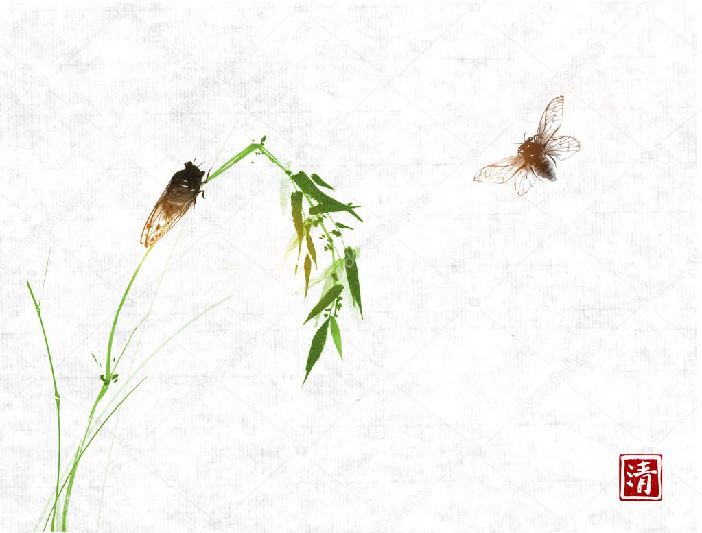 bugs and green leaves on white glowing background