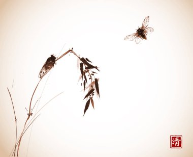 Hatalar ve yaprakları beyaz arka plan üzerinde siyah beyaz görünümü