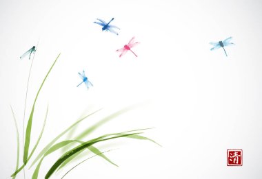 böcek ve beyaz zemin üzerine yeşil yaprakları