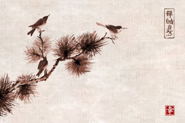 Kuşlar ve çam ağacı dalı beyaz parlak zemin üzerinde. Geleneksel oryantal mürekkep boyama sumi-e, u-sin, go-hua pirinç kağıdı arka plan üzerinde. Hiyeroglif - su kuyusu-varlık. -Vektör