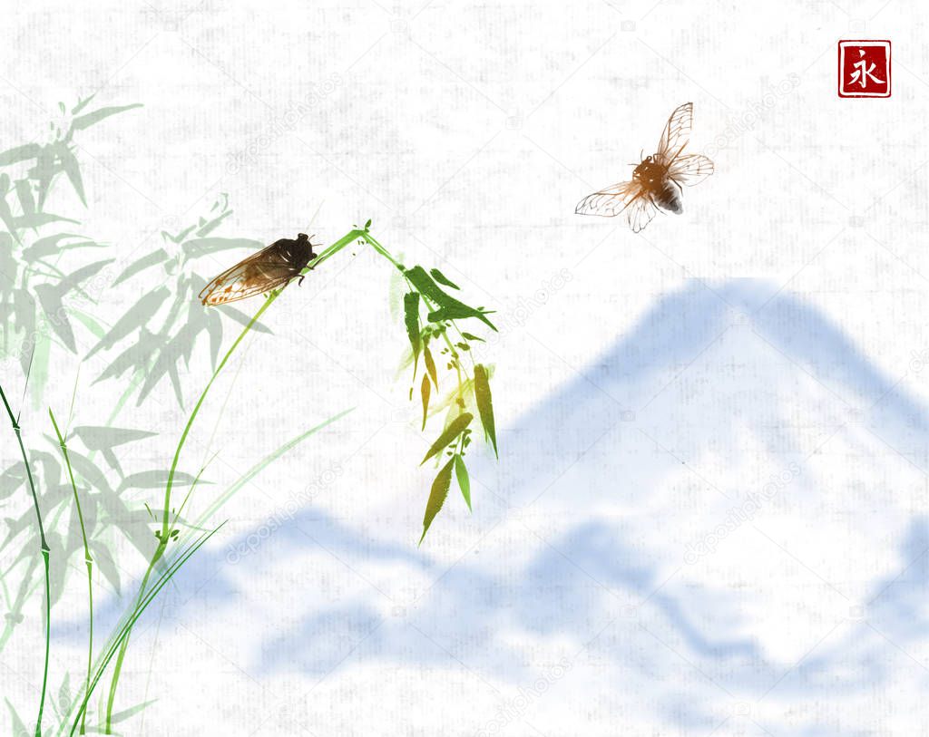 Two cicadas and green bamboo branch. Traditional oriental ink painting sumi-e, u-sin, go-hua. Hieroglyph - clarity