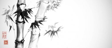 arka plan bambu ile. vektör çizim. geleneksel Japon resim. mürekkeple çizilmiş.