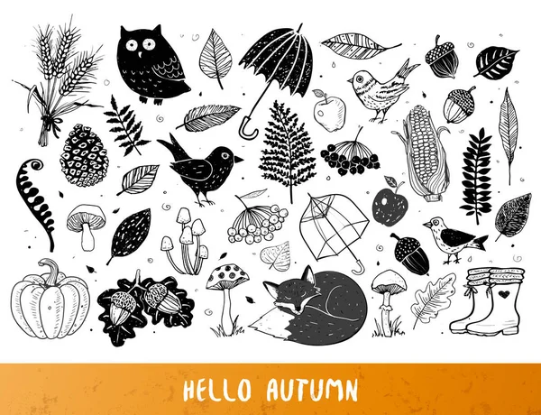 Vector Illustration Stylish Autumn Background — Stock Vector