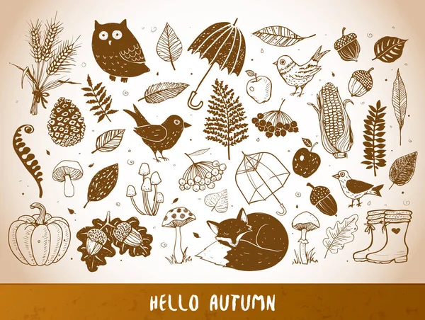 Vector Illustration Stylish Autumn Background — Stock Vector
