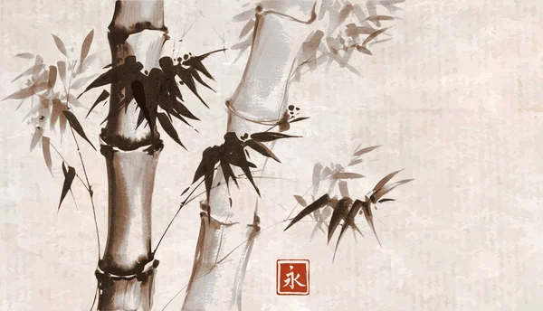 スタイリッシュな竹の背景のベクトルイラスト — ストックベクタ