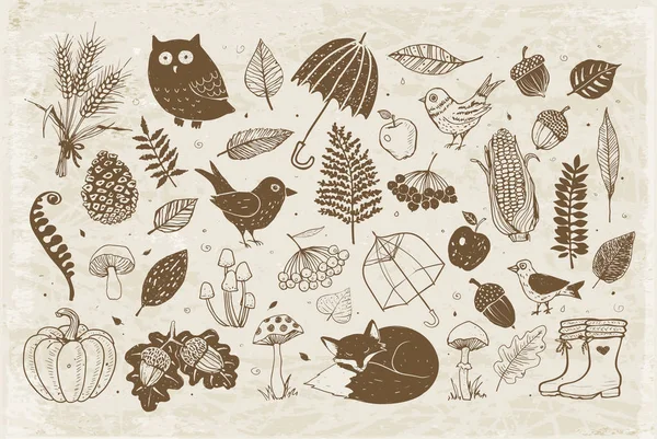 ヴィンテージの背景に秋の落書き 秋のイラスト 秋のデザイン要素のセット キノコ 森林動物 — ストックベクタ