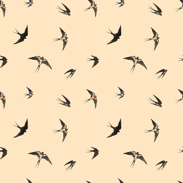 traditional Chinese style banner with swallows, vector illustration