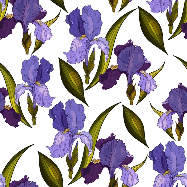 Modèle Vectoriel Sans Couture Iris Sur Fond Blanc Modèle Fleurs — Image vectorielle