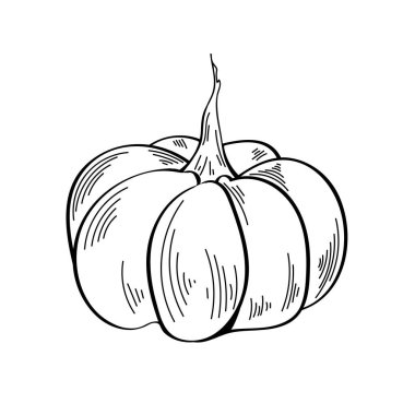 Vektör elemanı. Tek renkli dekoratif balkabağı. Sonbahar sebzelerinin resmi. Yazdırma şablonu, etiket, logo, ambalaj için tasarım ögesi. Beyaz arka planda siyah çizgiler. Balkabağı şenliği.