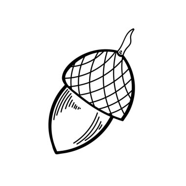 Vektör elemanı. Tek renkli meşe palamudu. Stres önleyici boya. Modellerle şekillendirilmiş illüstrasyon. Yazdırma şablonu, etiket, logo, ambalaj için tasarım ögesi. Beyaz arkaplanda siyah çizgiler.