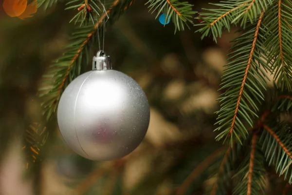 Silver Brilliant Sphere Hangs Branch New Year Fir Tree Close — Stock Photo, Image