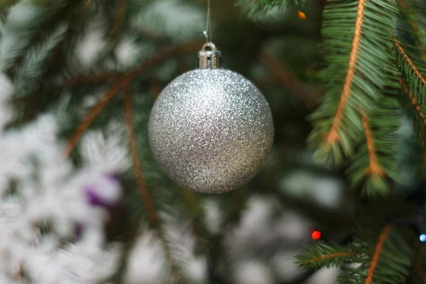 Silver Brilliant Sphere Hangs Branch New Year Fir Tree Close — Stock Photo, Image