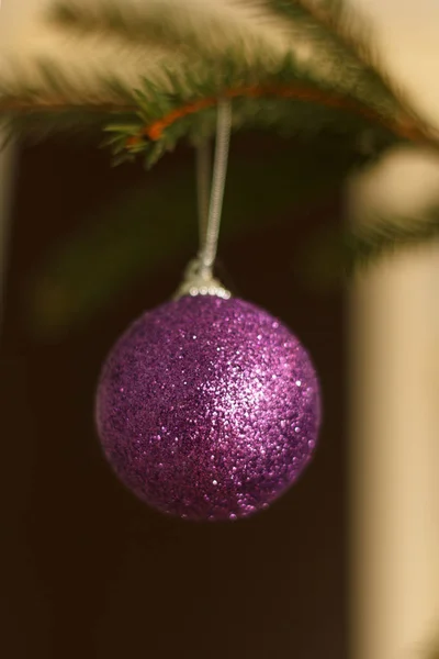 Violet Brilliant Sphere Hangs Branch New Year Fir Tree Close — Stock Photo, Image