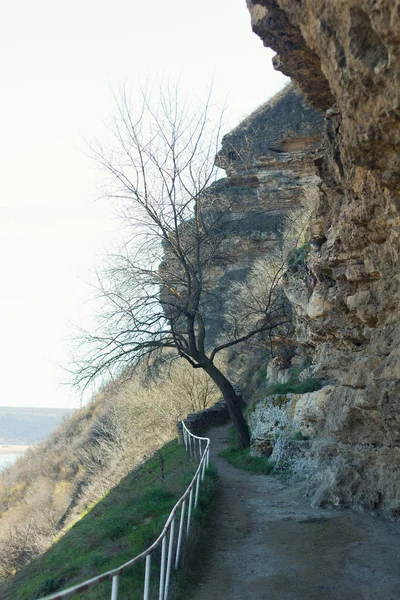 Caminho Longo Rocha Com Uma Árvore Durante Uma Primavera — Fotografia de Stock