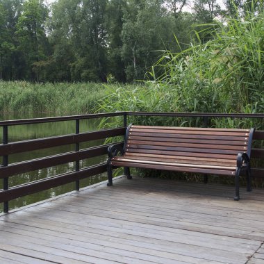 Verandada, yemyeşil bitki örtüsüyle çevrili sakin bir nehre bakan ahşap bir bank. Sahne sakin ve davetkar, rahatlamak için mükemmel.
