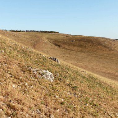 Yuvarlanan tepeleri ve seyrek bitki örtüsüyle uçsuz bucaksız, güzel bir manzara. Arazide açık mavi gökyüzünün altında kahverengi çimenler ve uzak ağaçlar var.