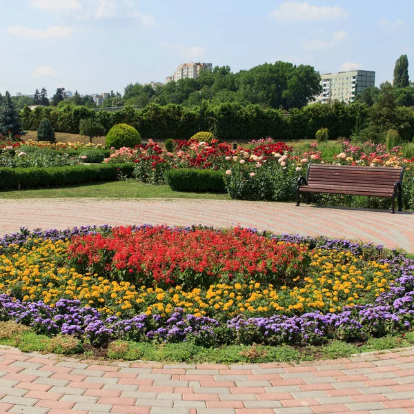 Güzel bir dairesel çiçek tarhı canlı kırmızı, sarı ve mor bitkilere ev sahipliği yapar. Bir bank ise doğanın ortasında rahatlamaya davetiye çıkarır.