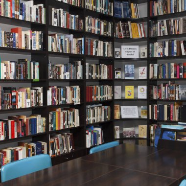 CHISINAU, MOLDOVA - 14 Mart 2025; Uzun ahşap masalar, mavi sandalyeler ve seramik zemin üzerinde eğitim ve bilgiyi sembolize eden kitaplarla dolu rahat kütüphane içi