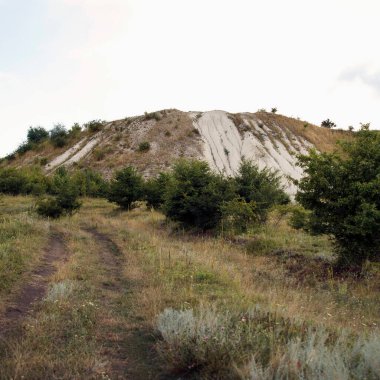 Küçük ağaçların olduğu çimenli bir alana uzanan toprak bir patika. Açık renkli bir yamacı olan bir tepe bulutlu bir gökyüzünün altında yükselir.