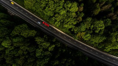 Yol arteri ormanın içinden geçiyor.