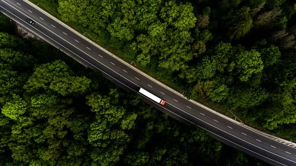 Yol arteri ormanın içinden geçiyor.