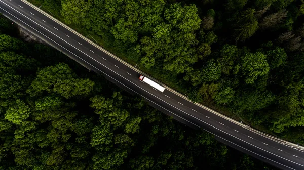 Yol arteri ormanın içinden geçiyor.