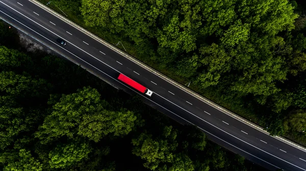 Yol arteri ormanın içinden geçiyor.