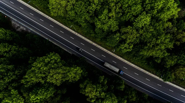 Yol arteri ormanın içinden geçiyor.