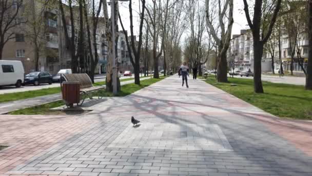 Giovane Bella Ragazza Pattinaggio Parco Giovane Donna Rollerblading Una Bella — Video Stock