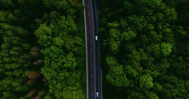 Aerial View Flying Old Patched Two Lane Forest Road Car — Stock Video