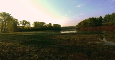 İlkbahar gününde bahar kolza çiçek alanı çiçeklenme güzel sarı kolza çiçekler alan üzerinde havadan görünüm, güzel bahar manzara 4k drone görüntüleri