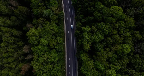 Aerial view flying over road, that lead through the green forest.