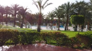 Palmiye ağaçları, güneşlik, şemsiye, jakuzi. su kaydırağı. Yukarıdan havuzlar, bahçe kıyı şeridi ve plaj