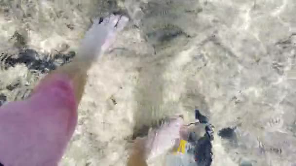 Los Peces Colores Agua Mar Clara Frotan Contra Los Pies — Vídeo de stock