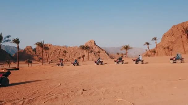 Groep Quad Bike Racers Rijden Woestijn Sharm Sheikh Egypte Afrika — Stockvideo