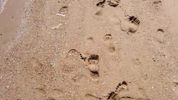 Camminando Piedi Nudi Sulla Spiaggia Sabbia Passi Sulla Sabbia — Video Stock