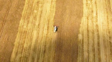 Weat alanında birleştirme ve kamyon Hasat