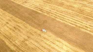 Weat alanında birleştirme ve kamyon Hasat