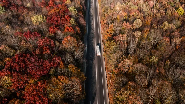 Aerial view of the road in beautiful autumn forest — Stock Photo, Image