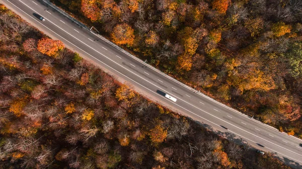 Güzel sonbahar ormanlarındaki yol manzarası