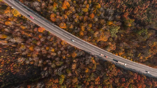 Güzel sonbahar ormanlarındaki yol manzarası
