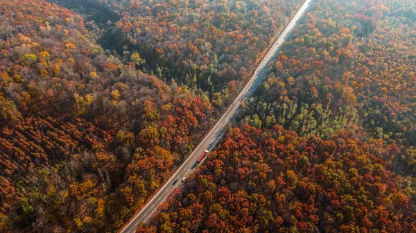 Güzel sonbahar ormanlarındaki yol manzarası