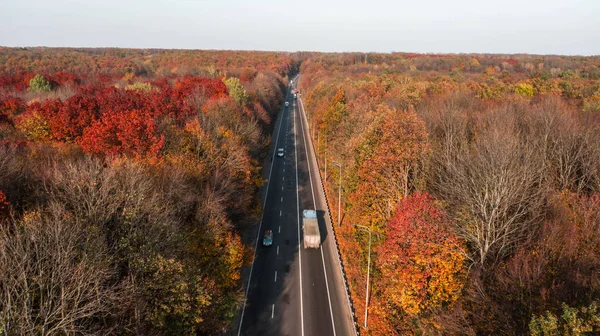 Güzel sonbahar ormanlarındaki yol manzarası