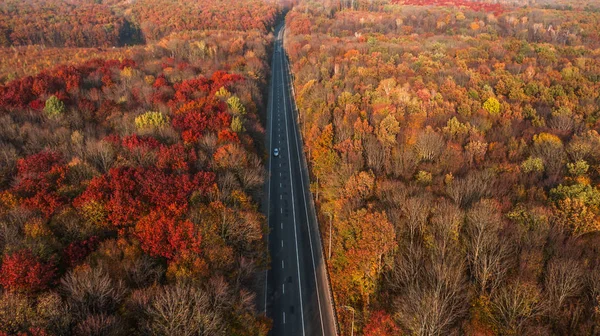 Güzel sonbahar ormanlarındaki yol manzarası