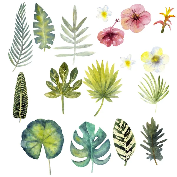 Set Watercolor Colorful Tropical Leaves Clipart Your Creativity — Stock Photo, Image