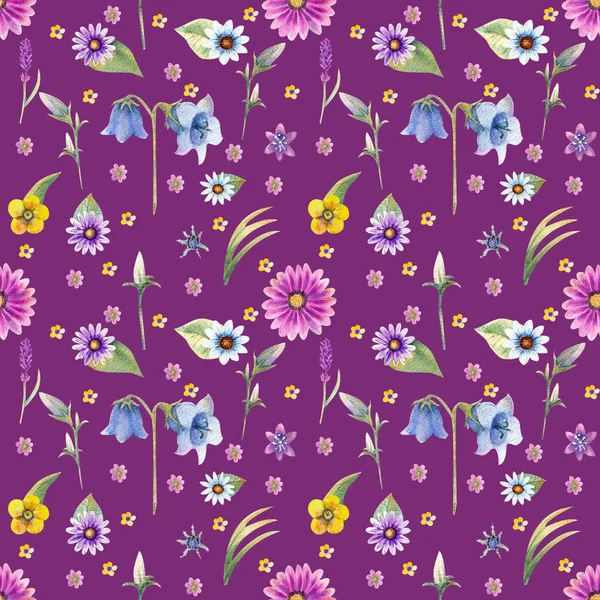 Wild flowers background. Seamless pattern. Wild flowers background Watercolor. — Stock Photo, Image