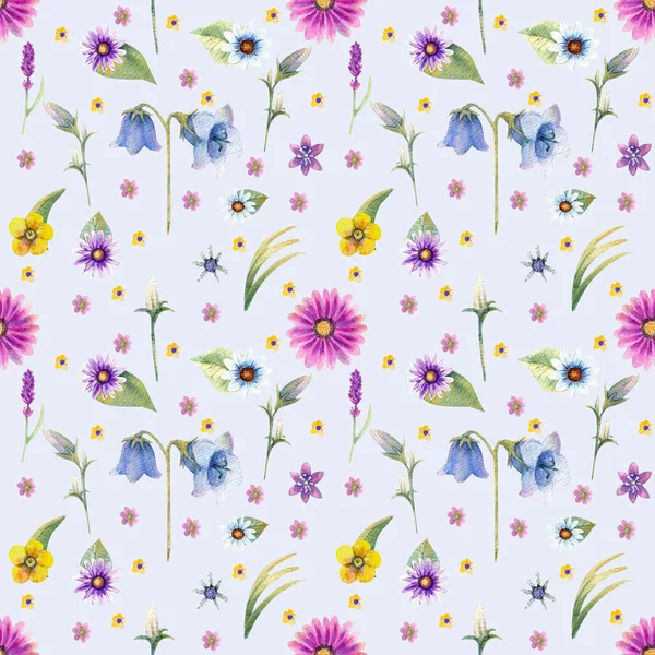 Wild flowers background. Seamless pattern. Wild flowers background Watercolor. — Stock Photo, Image