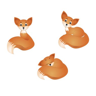 Beyaz arka plan üzerinde izole Fox vektör çizim.