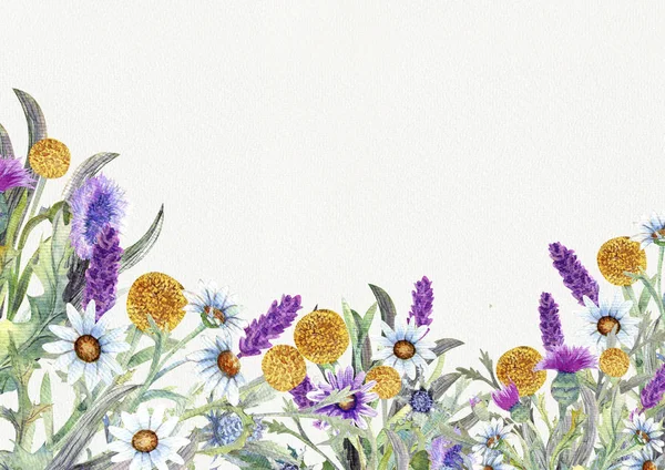 Hochzeitsrunde Rahmen aus Wildblumen. Aquarell. Blumenschmuck. Design der Grußkarte. Hintergrund der Einladung. — Stockfoto