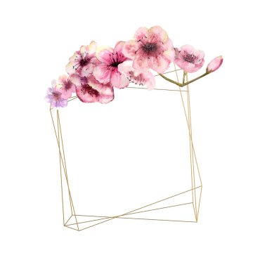 Kiraz çiçeği, Sakura şube altın çerçeve ve izole beyaz arka plan üzerinde pembe çiçekli. Bahar görüntüsü. Çerçeve. Sulu boya resim. Tasarım öğeleri. çiçekler üstünde tepe. kare çerçeve